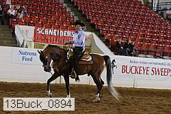 13buck_0894 proof