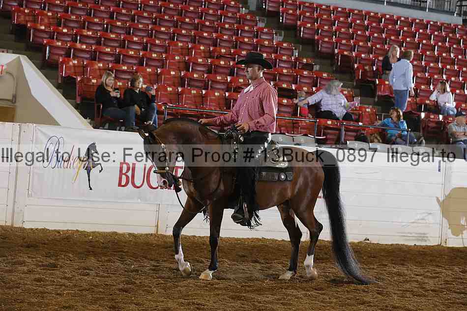 Proof 13buck_0897