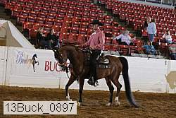 13buck_0897 proof