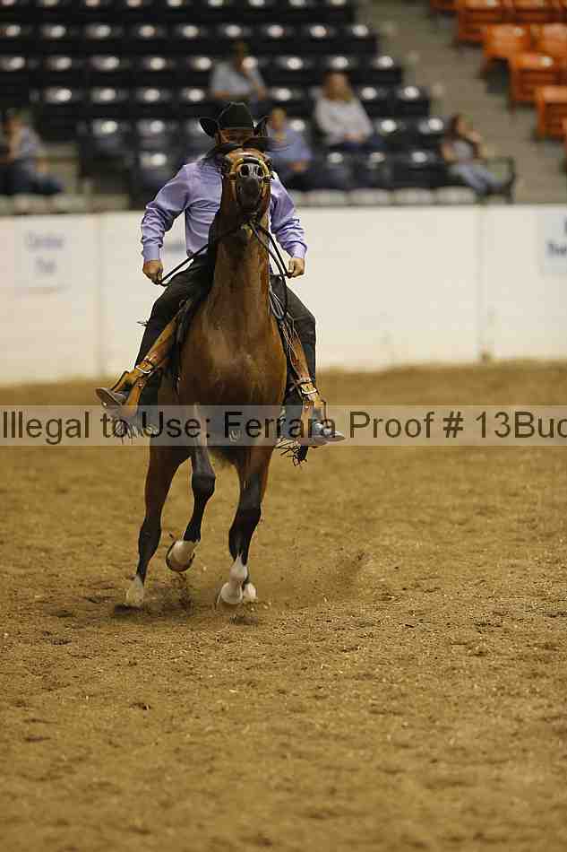 Proof 13buck_0908
