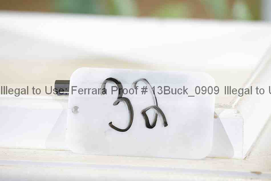 Proof 13buck_0909