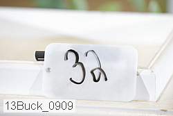 13buck_0909 proof