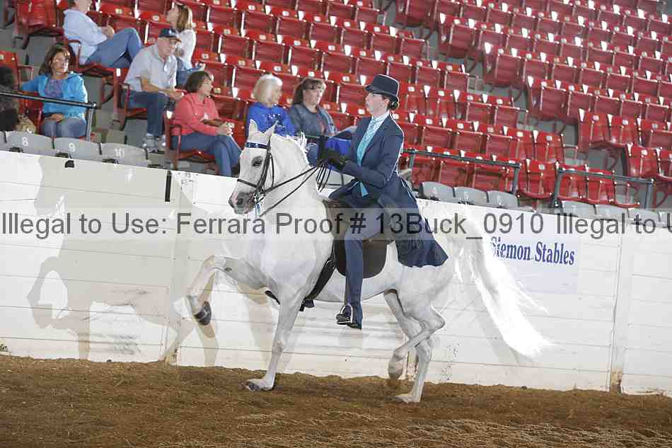 Proof 13buck_0910