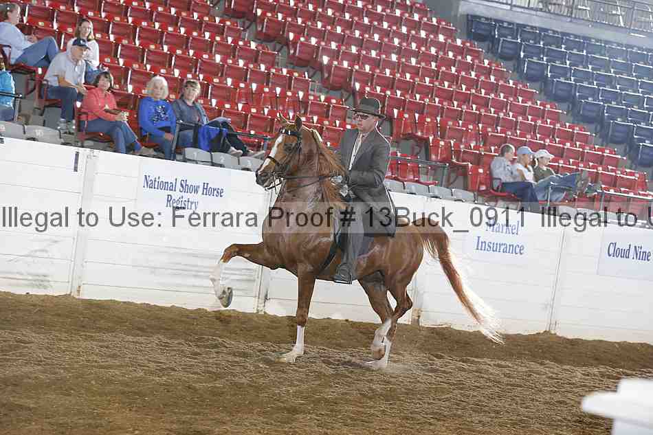 Proof 13buck_0911