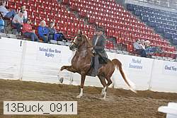 13buck_0911 proof