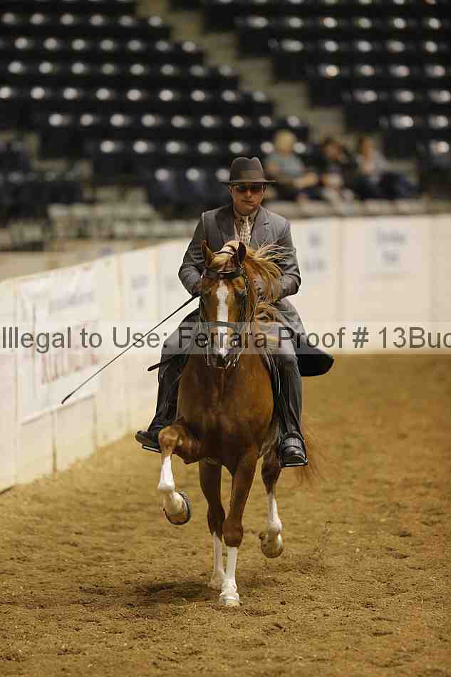 Proof 13buck_0913