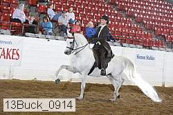 13buck_0914 proof