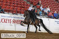 13buck_0916 proof