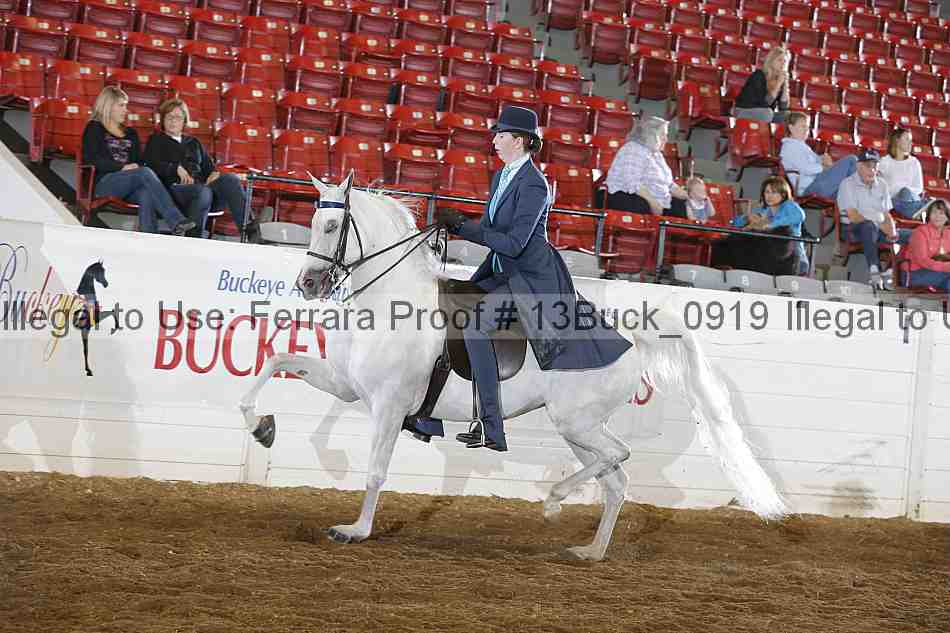 Proof 13buck_0919