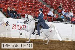13buck_0919 proof