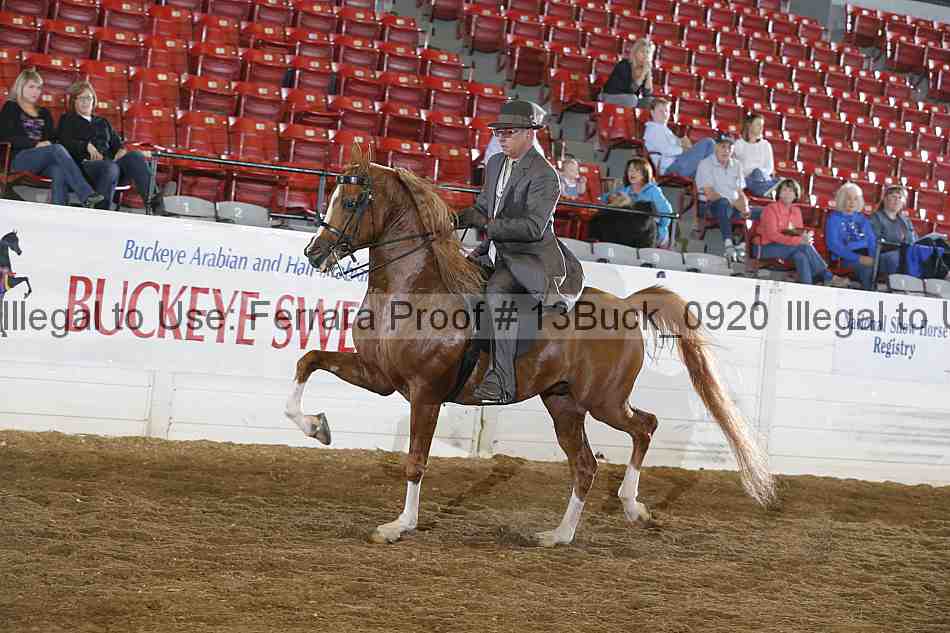 Proof 13buck_0920
