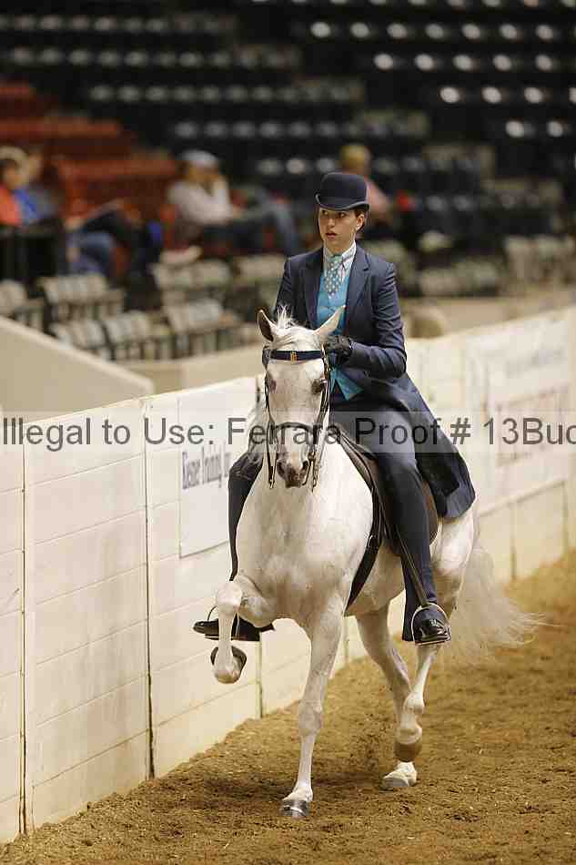Proof 13buck_0921