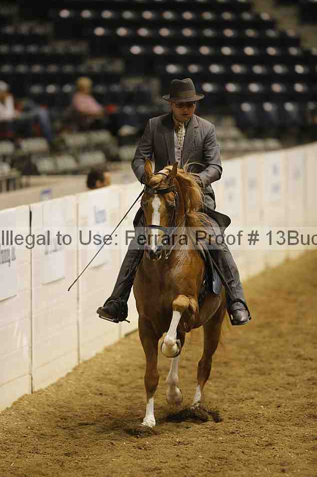 Proof 13buck_0922