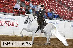 13buck_0923 proof
