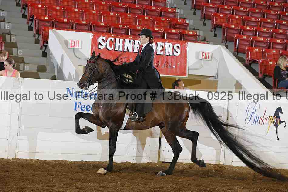 Proof 13buck_0925
