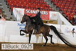 13buck_0925 proof