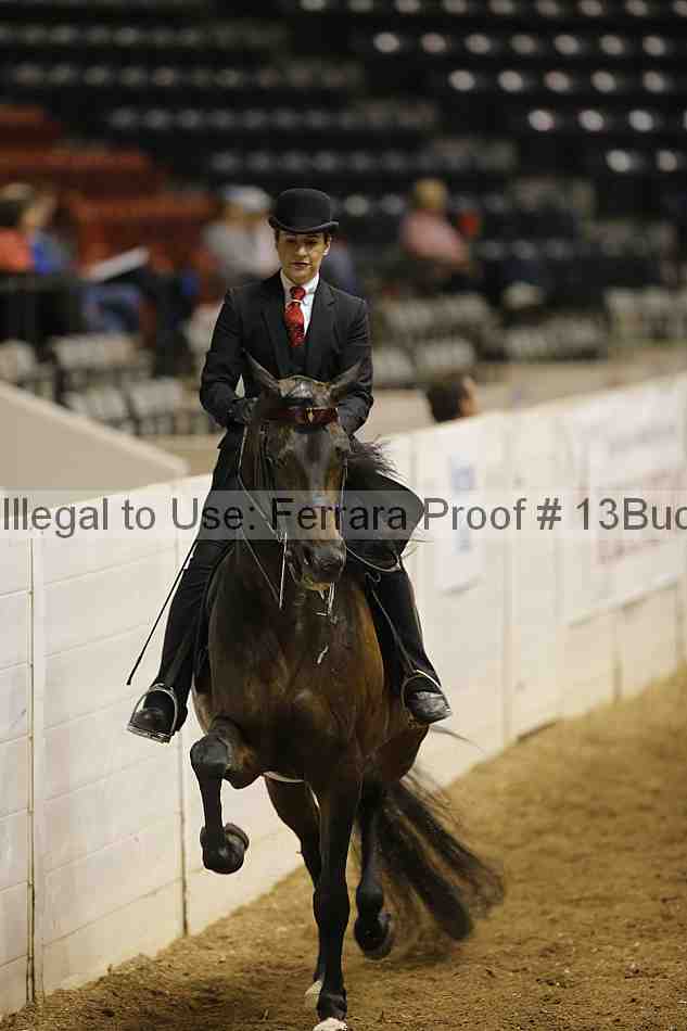 Proof 13buck_0926