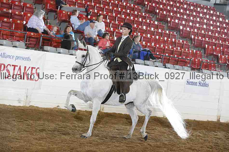 Proof 13buck_0927