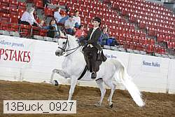 13buck_0927 proof