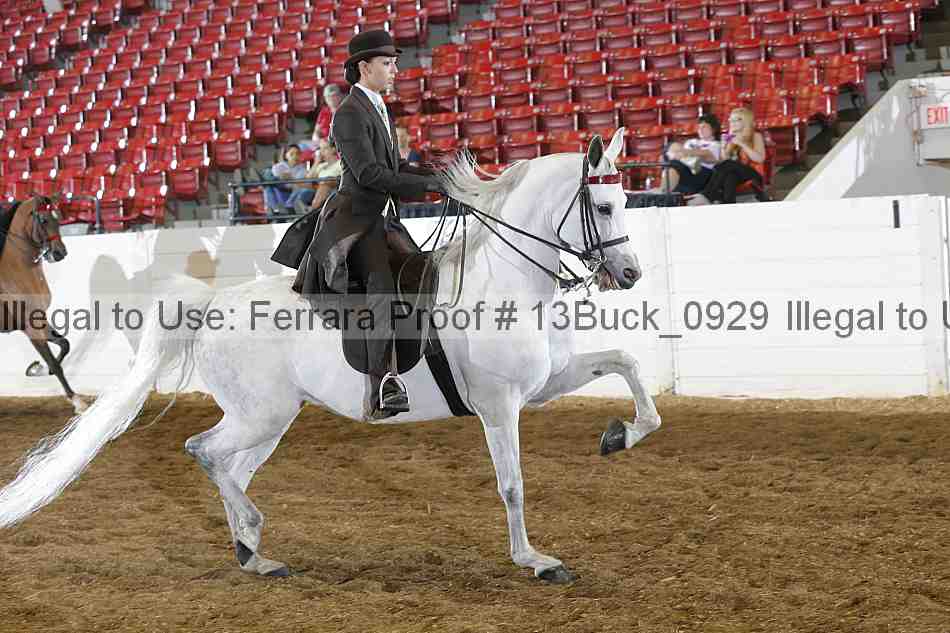 Proof 13buck_0929
