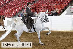 13buck_0929 proof