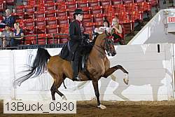 13buck_0930 proof
