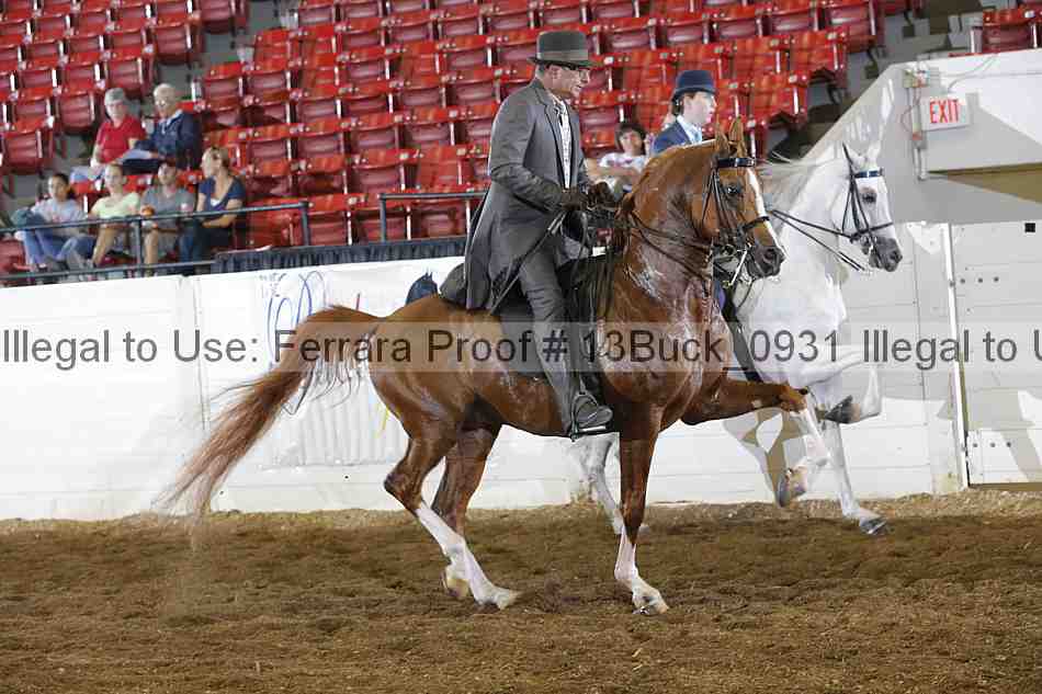 Proof 13buck_0931