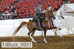 13buck_0931 proof