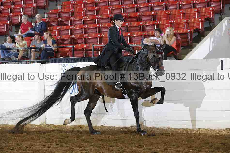 Proof 13buck_0932