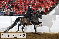 13buck_0932 proof