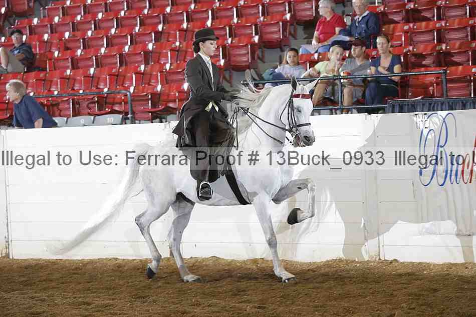 Proof 13buck_0933