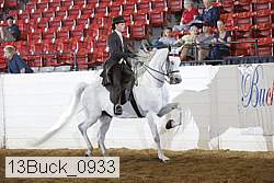 13buck_0933 proof