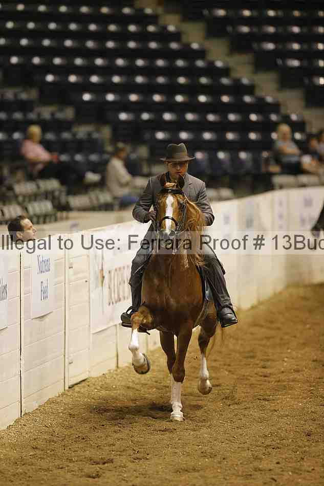 Proof 13buck_0938