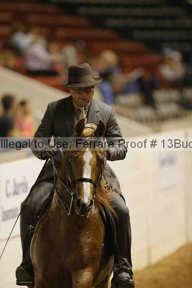 Proof 13buck_0939