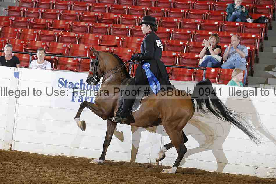 Proof 13buck_0941