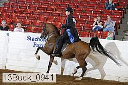 13buck_0941 proof