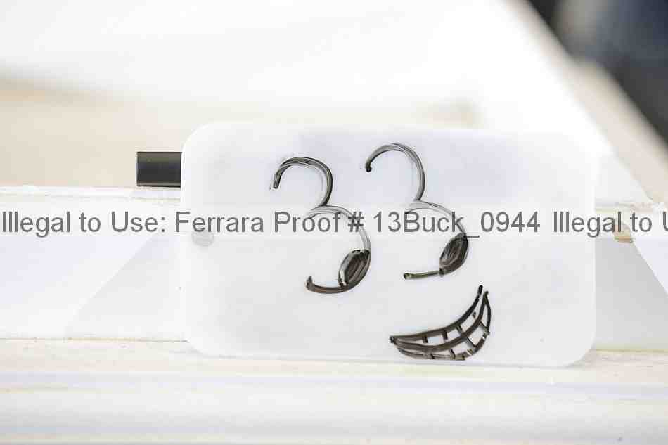 Proof 13buck_0944