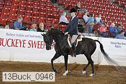 13buck_0946 proof