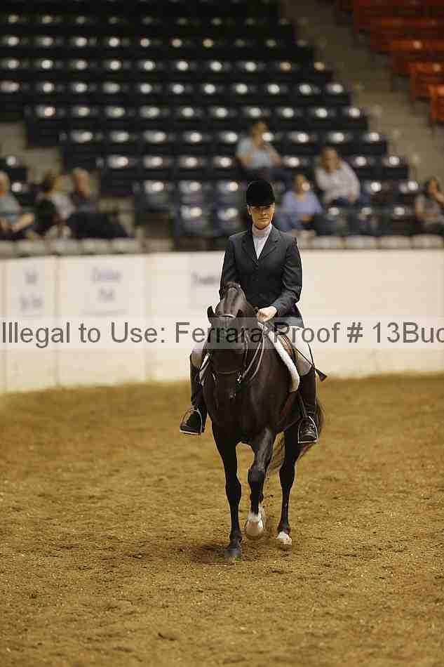 Proof 13buck_0947