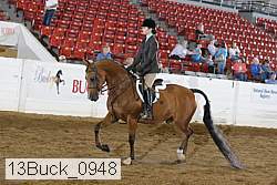 13buck_0948 proof