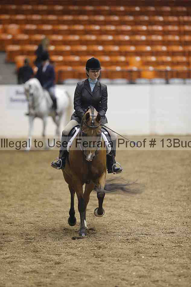 Proof 13buck_0950