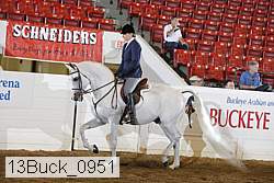 13buck_0951 proof