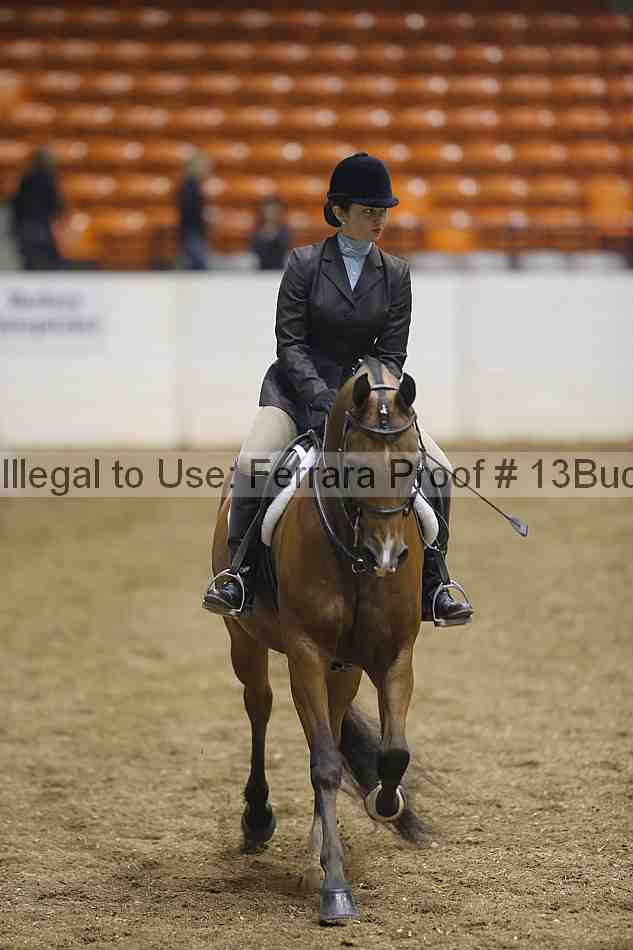 Proof 13buck_0952