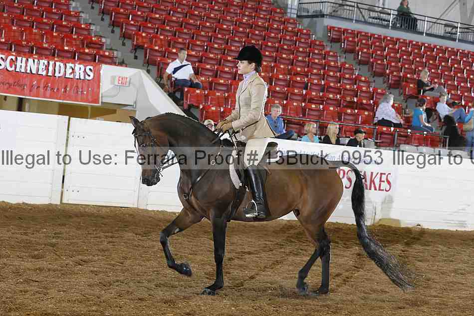 Proof 13buck_0953