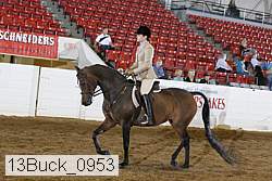 13buck_0953 proof