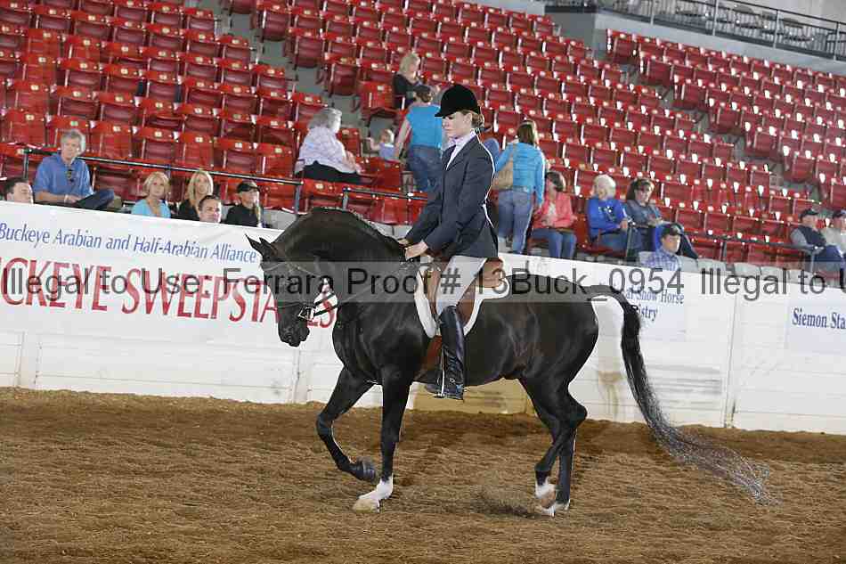 Proof 13buck_0954