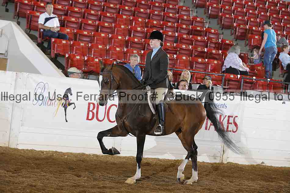 Proof 13buck_0955