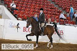 13buck_0955 proof