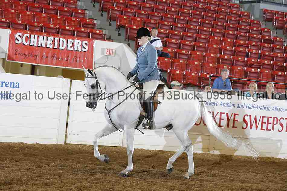 Proof 13buck_0958