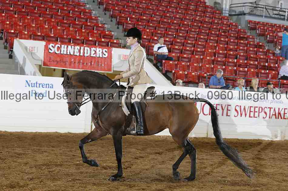 Proof 13buck_0960